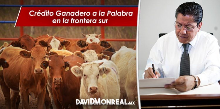 CRÉDITO GANADERO A LA PALABRA EN LA FRONTERA SUR