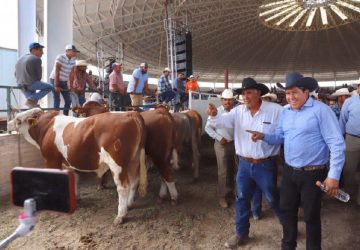 CRÉDITO GANADERO A LA PALABRA GENERA MAYORES CONDICIONES DE BIENESTAR: DAVID MONREAL ÁVILA