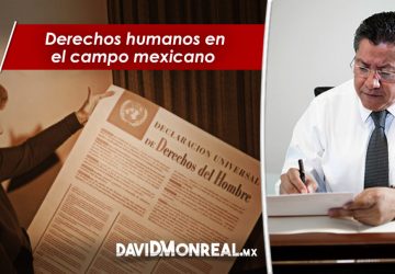 DERECHOS HUMANOS EN EL CAMPO MEXICANO