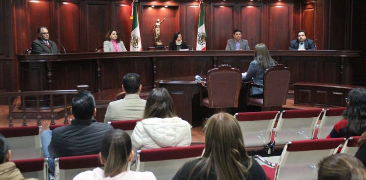 TRIJEZ CONFIRMA RESOLUCIÓN DEL INSTITUTO ELECTORAL DEL ESTADO DE ZACATECAS