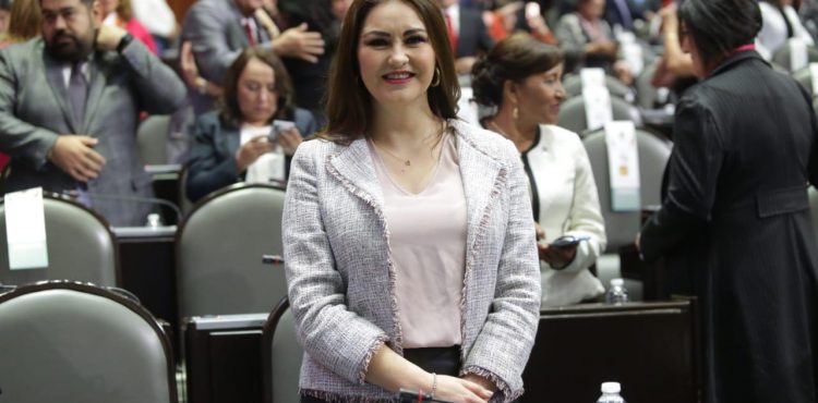 COMBATE A LA CORRUPCIÓN, DERECHOS HUMANOS, JUSTICIA, MEDIO AMBIENTE, EDUCACIÓN Y SALUD, EJES DE LA AGENDA LEGISLATIVA DEL PT COMBATE A LA CORRUPCIÓN, DERECHOS HUMANOS, JUSTICIA, MEDIO AMBIENTE, EDUCACIÓN Y SALUD, EJES DE LA AGENDA LEGISLATIVA DEL PT