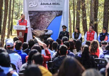 TRABAJA ALEJANDRO TELLO EN LA PRESERVACIÓN DEL ÁGUILA REAL EN MÉXICO