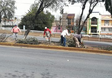 DAN MANTENIMIENTO AL BULEVAR METROPOLITANO