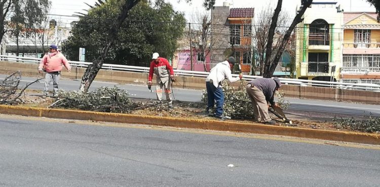 DAN MANTENIMIENTO AL BULEVAR METROPOLITANO