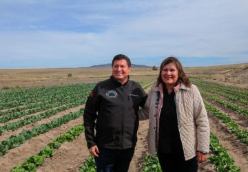 APOYA SECAMPO LA AGRICULTURA AUTOSUSTENTABLE Y ÓRGANICA EN GENARO CODINA