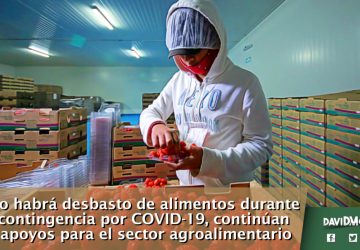 NO HABRÁ DESBASTO DE ALIMENTOS DURANTE CONTINGENCIA POR COVID-19, CONTINÚAN APOYOS PARA EL SECTOR AGROALIMENTARIO