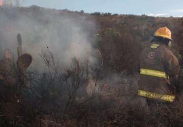 ATIENDE PROTECCIÓN CIVIL 285 INCENDIOS FORESTALES