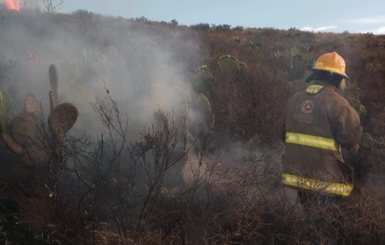 ATIENDE PROTECCIÓN CIVIL 285 INCENDIOS FORESTALES