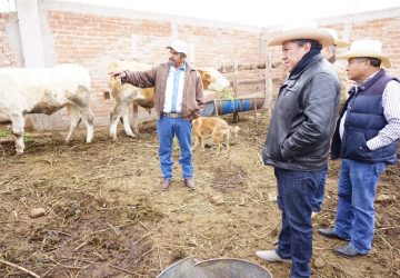 EL RETO MÁS IMPORTANTE EN GANADERÍA ES INCORPORAR AL PEQUEÑO PRODUCTOR A LOS GRANDES PROYECTOS