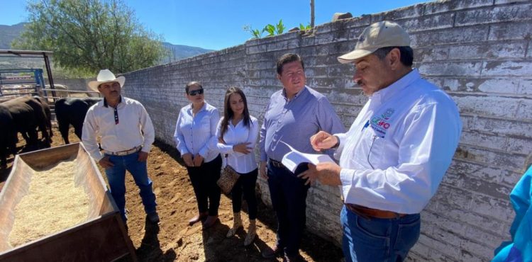 INVIERTE GOBIERNO 14.4 MDP PARA COMBATIR LA MARGINACIÓN EN EL CAMPO ZACATECANO