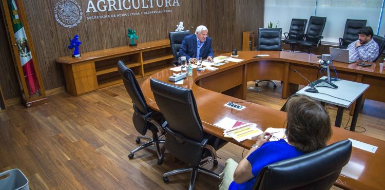 EVALÚAN AGRICULTURA, BID Y FAO REACTIVACIÓN DE SISTEMAS AGROALIMENTARIOS EN AMÉRICA ANTE LOS EFECTOS DEL COVID-19