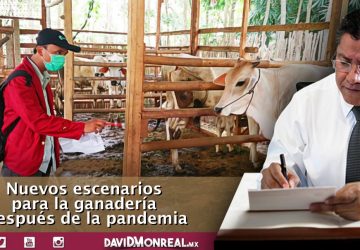 NUEVOS ESCENARIOS PARA LA GANADERÍA DESPUÉS DE LA PANDEMIA