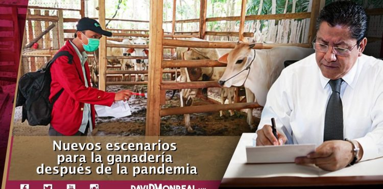 NUEVOS ESCENARIOS PARA LA GANADERÍA DESPUÉS DE LA PANDEMIA