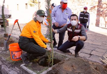 EN LA NUEVA REALIDAD, REFORESTAMOS LAS AVENIDAS DE ACCESO AL CENTRO HISTÓRICO: ULISES MEJÍA HARO