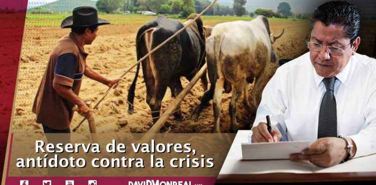 RESERVA DE VALORES, ANTÍDOTO CONTRA LA CRISIS.