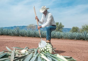 SUPERÁVIT DE BALANZA COMERCIAL AGROALIMENTARIA REGISTRÓ 11.68% EN PRIMER CUATRIMESTRE