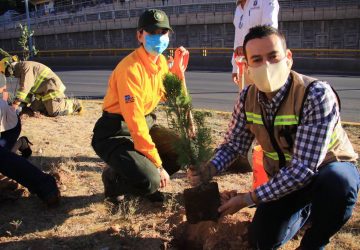 EN EL DÍA MUNDIAL DEL MEDIO AMBIENTE ULISES MEJÍA HARO IMPULSA ACCIONES INTEGRALES DE COMBATE AL CAMBIO CLIMÁTICO