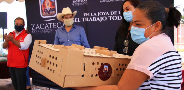 ENTREGA AYUNTAMIENTO CAPITALINO EN COORDINACIÓN CON LA SECAMPO APOYOS ALIMENTICIOS Y AVES DE TRASPATIO