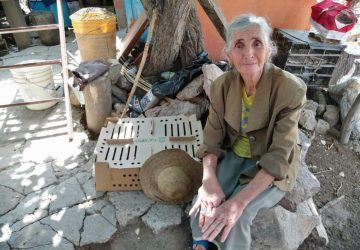 MÁS DE 9 MIL FAMILIAS RECIBEN AVES PARA PRODUCIR ALIMENTO DURANTE CONTINGENCIA