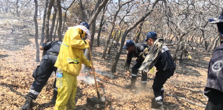 FINALIZA TEMPORADA DE INCENDIOS FORESTALES; AFECTAN MÁS DE 5 MIL 800 HECTÁREAS EN ZACATECAS