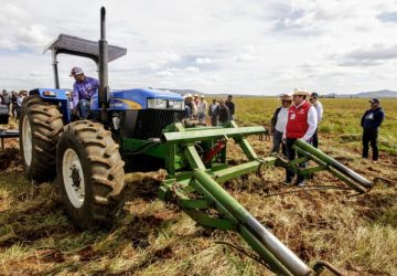 CON LLUVIA DE JUNIO, CONDICIONES PARA SEMBRAR 80% DE LA TIERRA DE TEMPORAL EN EL ESTADO