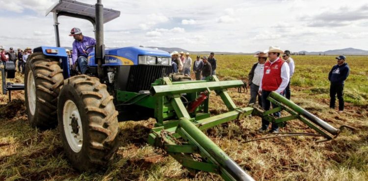 CON LLUVIA DE JUNIO, CONDICIONES PARA SEMBRAR 80% DE LA TIERRA DE TEMPORAL EN EL ESTADO