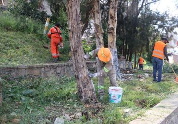 LA REHABILITACIÓN DE ESPACIOS, PARTE DE LA ESTRATEGIA INTEGRAL DE SEGURIDAD: ULISES MEJÍA HARO