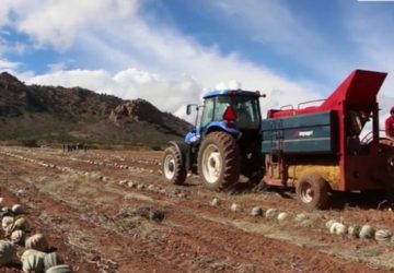 CAMPO ZACATECANO LOGRA PRIMER LUGAR NACIONAL EN CRECIMIENTO