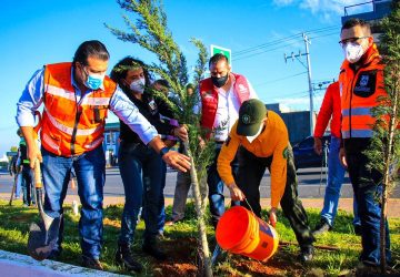 LA CAMPAÑA DE REFORESTACIÓN NUESTRA ESPERANZA, PRUEBA DE QUE EL TRABAJO EN EQUIPO TODO LO VENCE: ULISES MEJÍA HARO