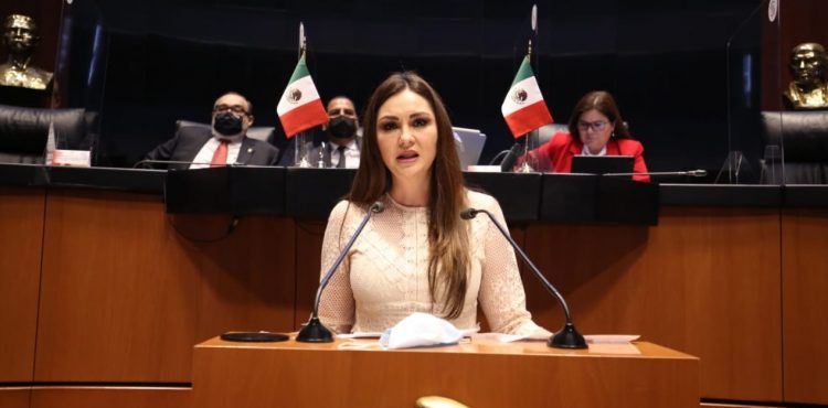 PIDE GEOVANNA BAÑUELOS CONOCER ESTRATEGIA DEL NUEVO SECRETARIO DE SEGURIDAD PÚBLICA DE ZACATECAS