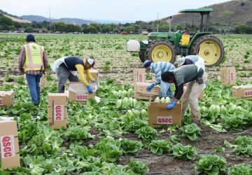 MIGRANTES ZACATECANOS, PARTE FUNDAMENTAL DE NUESTRA ECONOMÍA.