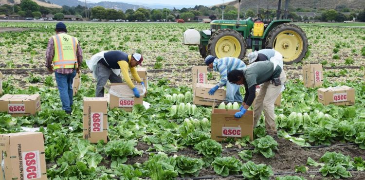 MIGRANTES ZACATECANOS, PARTE FUNDAMENTAL DE NUESTRA ECONOMÍA.