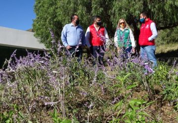 INSTALAN EN ECOPARQUE JARDÍN POLINIZADOR PARA CONSERVACIÓN DE MARIPOSA MONARCA EN SU RUTA MIGRATORIA