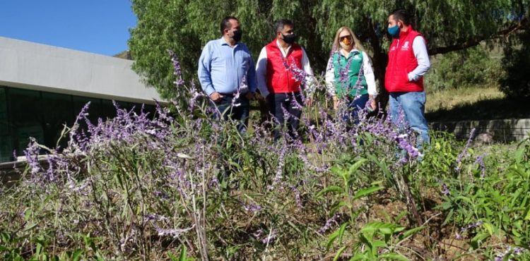 INSTALAN EN ECOPARQUE JARDÍN POLINIZADOR PARA CONSERVACIÓN DE MARIPOSA MONARCA EN SU RUTA MIGRATORIA