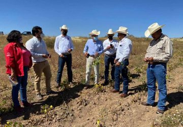 INVERSIÓN SUPERIOR A LOS 20 MDP IMPULSA EL CAMPO DE SOMBRERETE