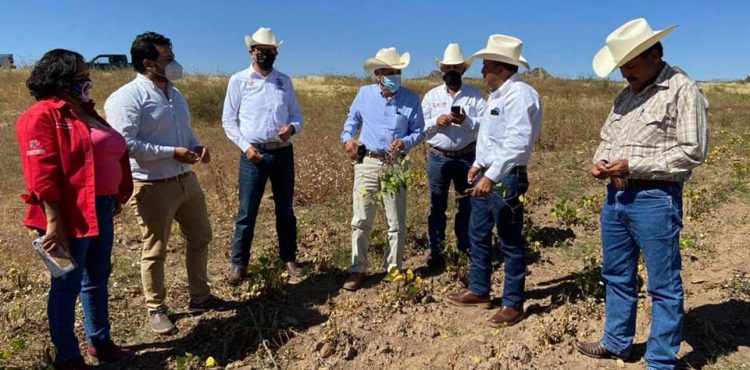 INVERSIÓN SUPERIOR A LOS 20 MDP IMPULSA EL CAMPO DE SOMBRERETE