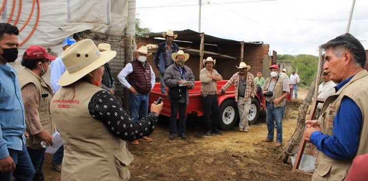 APOYA AGRICULTURA A 780 PRODUCTORES CON ACOMPAÑAMIENTO TÉCNICO