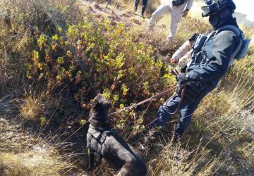 PARTICIPA SSP EN OPERATIVO DE BÚSQUEDA DE PERSONAS DESAPARECIDAS