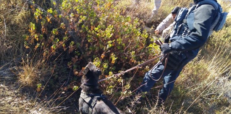 PARTICIPA SSP EN OPERATIVO DE BÚSQUEDA DE PERSONAS DESAPARECIDAS