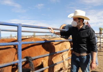 POR LA AUTONOMÍA DEL CAMPO ZACATECANO, SEGUIMOS TRABAJANDO EN COORDINACIÓN: ALCALDE ULISES MEJÍA HARO.