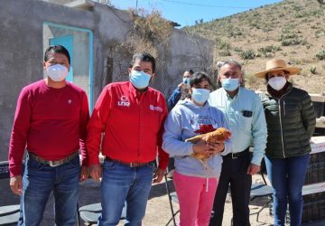 775 FAMILIAS DE PINOS Y NORIA DE ÁNGELES RECIBEN AVES DE POSTURA Y CALENTADORES SOLARES