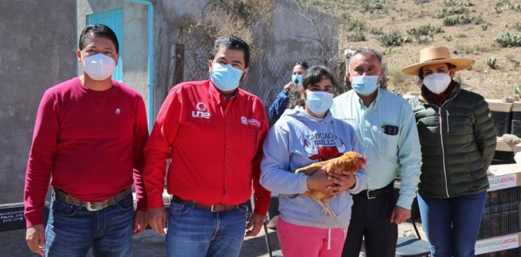 775 FAMILIAS DE PINOS Y NORIA DE ÁNGELES RECIBEN AVES DE POSTURA Y CALENTADORES SOLARES