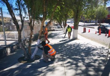 CON TRABAJO DE TIEMPO COMPLETO, BRINDA ALCALDÍA DE ZACATECAS SERVICIOS A LA CIUDADANÍA.