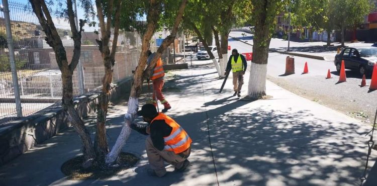 CON TRABAJO DE TIEMPO COMPLETO, BRINDA ALCALDÍA DE ZACATECAS SERVICIOS A LA CIUDADANÍA.