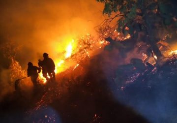REPORTA PC ESTATAL 479 INCENDIOS FORESTALES EN 33 MUNICIPIOS