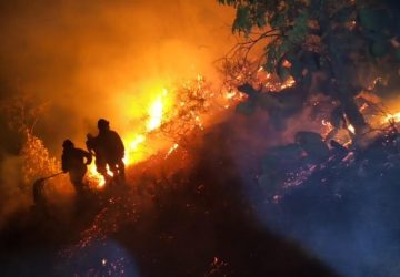 REPORTA PC ESTATAL 479 INCENDIOS FORESTALES EN 33 MUNICIPIOS