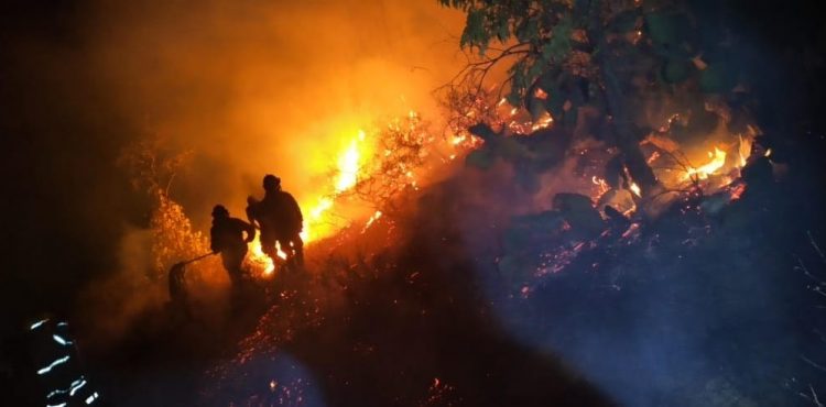 REPORTA PC ESTATAL 479 INCENDIOS FORESTALES EN 33 MUNICIPIOS