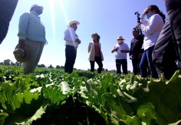 LA TRANSFORMACIÓN DEL CAMPO ES POSIBLE A PESAR DEL ABANDONO QUE PADECE EN LA ACTUALIDAD: DAVID MONREAL ÁVILA