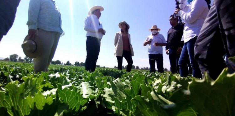 LA TRANSFORMACIÓN DEL CAMPO ES POSIBLE A PESAR DEL ABANDONO QUE PADECE EN LA ACTUALIDAD: DAVID MONREAL ÁVILA