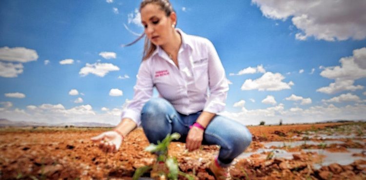 LUCHARÁ LUPITA FLORES POR PRECIOS DE GARANTÍA A PRODUCTOS DEL CAMPO